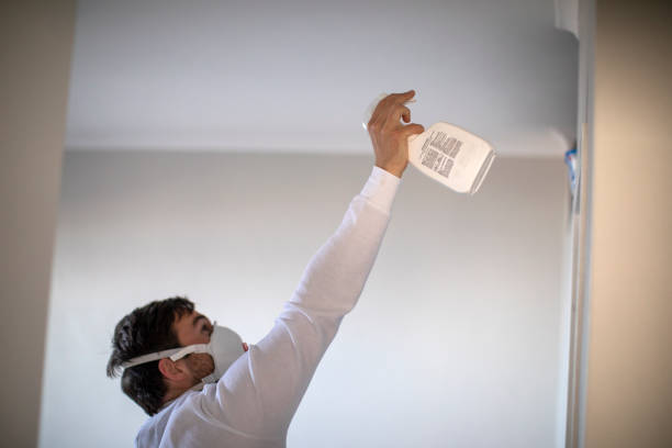 Best Attic Mold Removal  in Ponderosa Park, CO